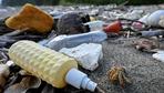 Studie: Krustentiere siedeln auf Plastikmüll im Pazifik