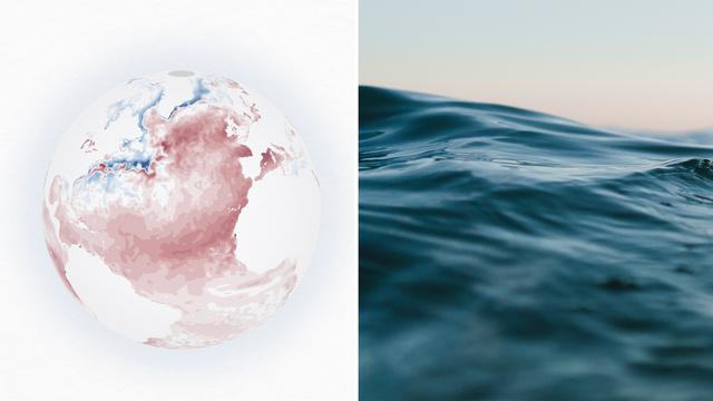 Temperatur der Meere: Warum die Wärme in den Ozeanen alle Rekorde bricht