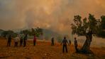 Waldbrände: Griechenland steht weitere Hitzewelle bevor