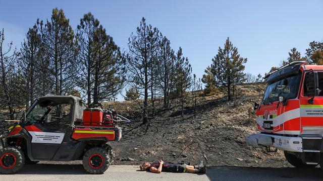 Waldbrände in Griechenland: Erschöpfte Einsatzkräfte und Tausende tote Tiere
