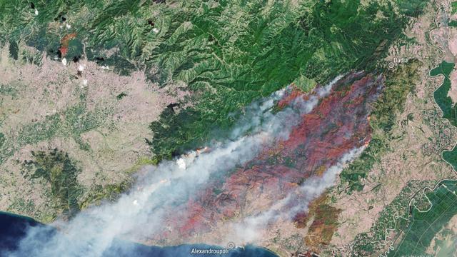 Klimawandel: Waldbrände auf Nordhalbkugel verursachen hohe Emissionen