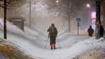 Kältewelle in Skandinavien: Leben auf Eis gelegt