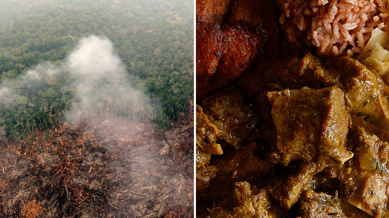 Biodiversidad y agricultura: cómo el cordero asado y el curry de judías amenazan la biodiversidad