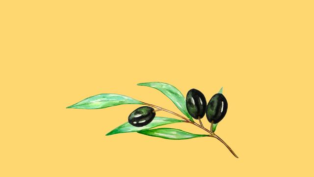 Klimawandel: Ist das gute Olivenöl irgendwann aus?