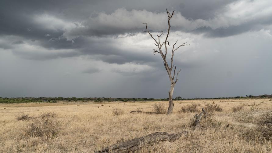 Simbabwe Katastrophenzustand Dürre 