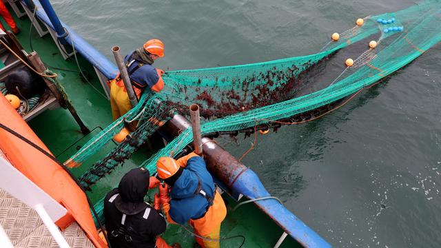 Fischerei: Weltweite Fischbest&auml;nde noch bedrohter als bisher angenommen