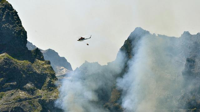 Waldbrand: Portugal bittet EU wegen Waldbrand auf Insel Madeira um Hilfe