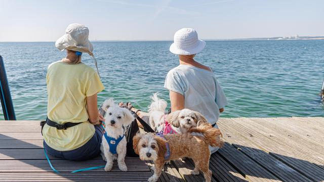 Bundesamt für Seeschifffahrt und Hydrographie: Wasser von Nord- und Ostsee war im Sommer überdurchs…