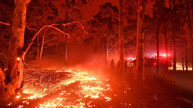 Studien zum Klimawandel: Klimawandel wird für Wälder und Menschen bedrohlicher