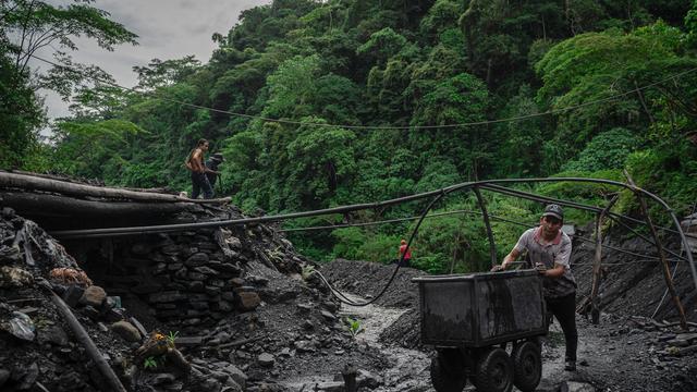 Weltnaturgipfel: Am Ende schlägt die Wirtschaft den globalen Naturschutz