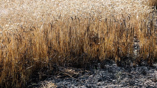 Extremwetter: Klimawandel wird junge Generation deutlich stärker betreffen