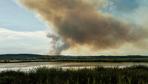 Waldbrände: Mehrere große Waldbrände in Südfrankreich
