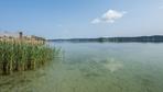 Invasive Arten: Quagga-Muschel breitet sich bedrohlich stark im Bodensee aus