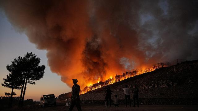 Waldbrände: Türkische Feuerwehr kämpft gegen vier große Waldbrände