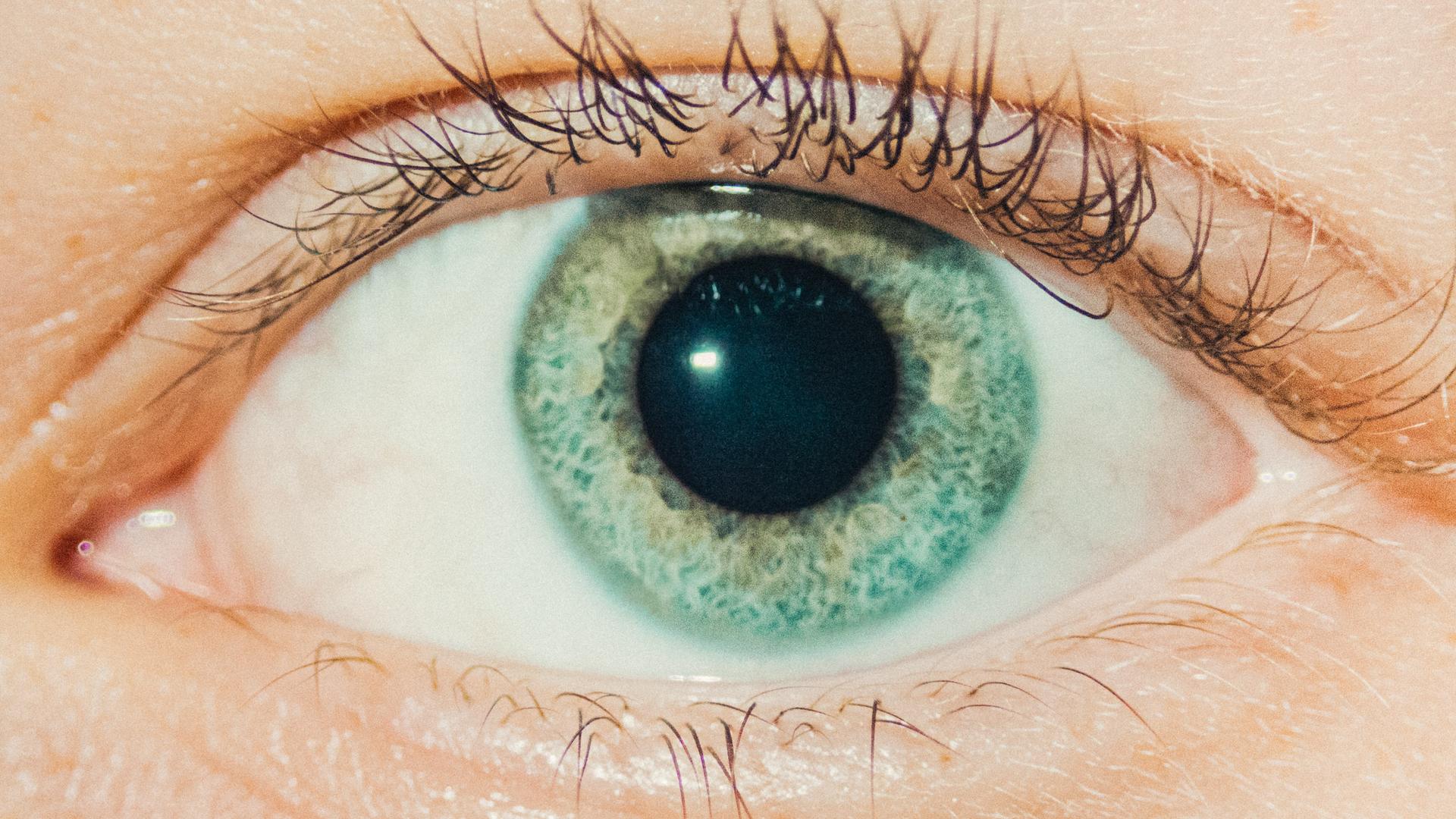 Augenkrankheiten in der Klimakrise: So gefährden Hitze und Sonne unsere Augen