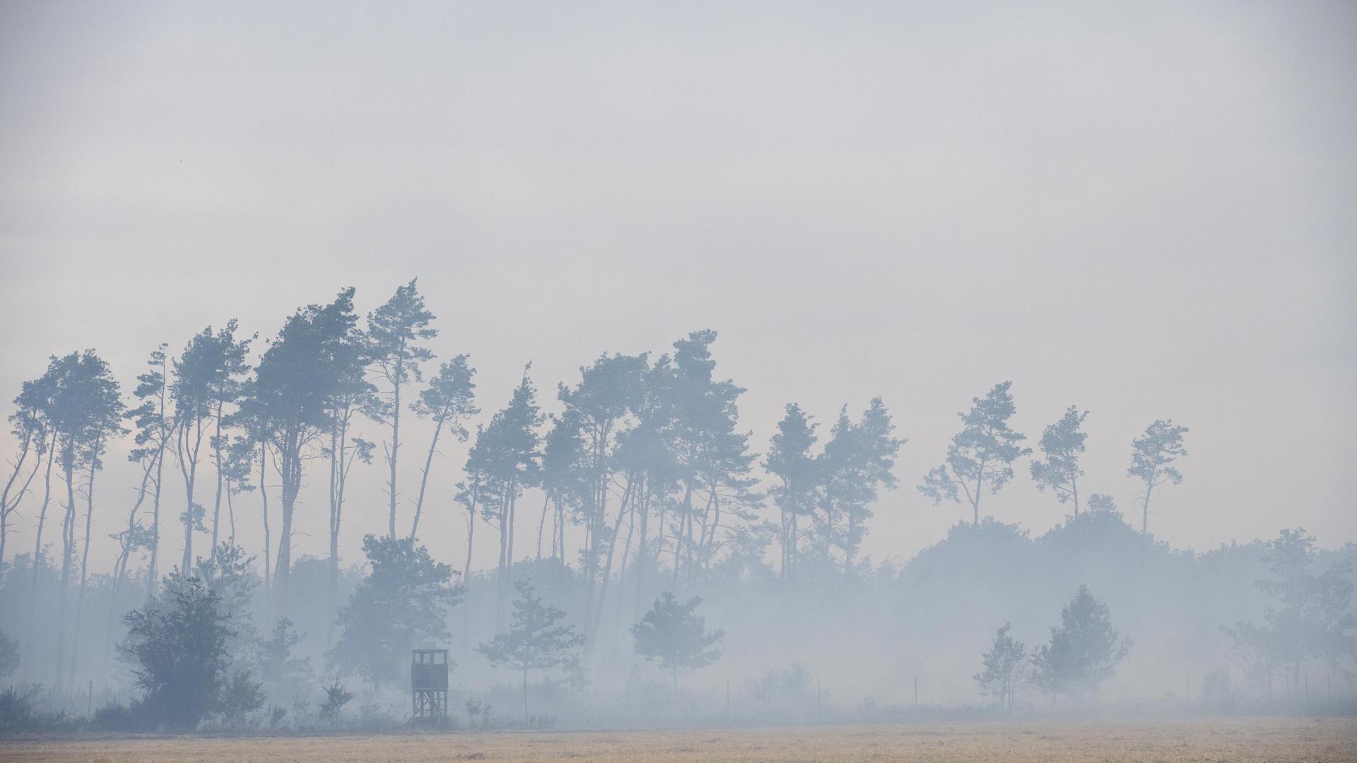 Klimawandel: WWF warnt vor erhöhter Waldbrandgefahr in Deutschland