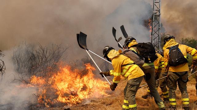 Hitze und Feuer: Klimawandel macht Waldbrände laut Studie 40-mal wahrscheinlicher