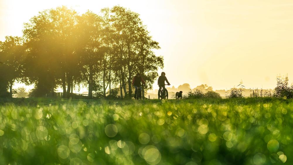 Deutscher Wetterdienst: 2025 war eines der sonnigsten Jahre seit Aufzeichnungsbeginn.