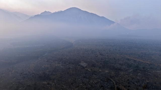 Argentinien: Milei ruft wegen Waldbränden in Patagonien Notstand aus