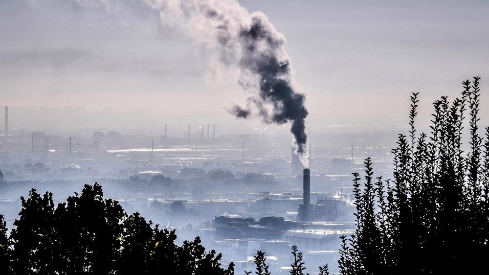  Ab 2050 will die EU nur noch so viele Treibhausgase ausstoßen, wie die Natur und technische Methoden speichern können.