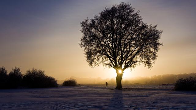 Copernicus: EU-Klimadienst meldet weltweit fünft wärmsten Januar der Geschichte