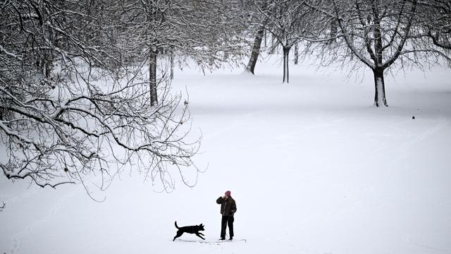 Deutscher Wetterdienst: Winter war milder, trockener und sonniger als im Mittel