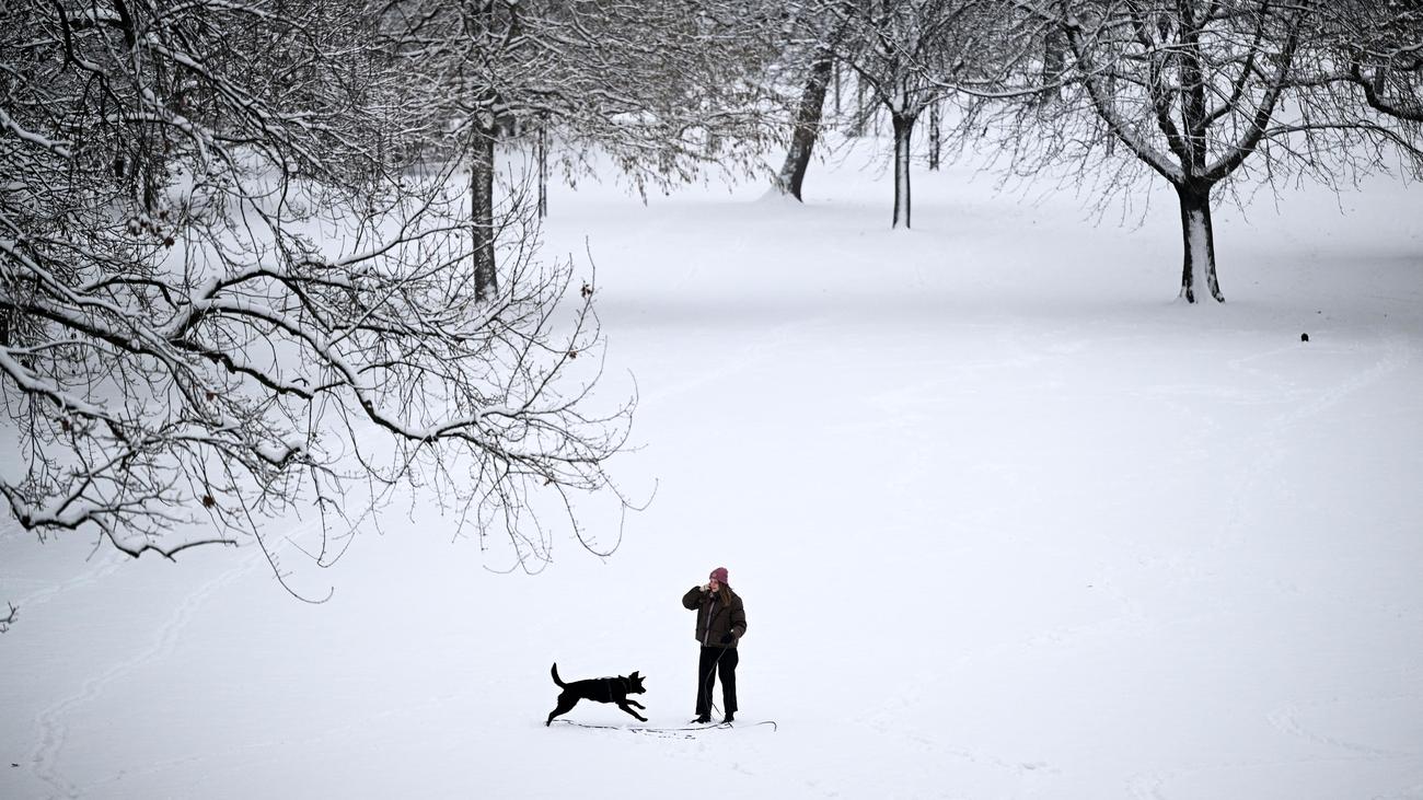 Deutscher Wetterdienst: Winter war milder, trockener und sonniger als im Mittel