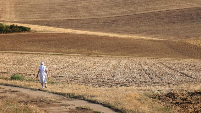 Klimawandel in Deutschland: Erderwärmung soll besonders im Süden und Osten für Hitzewellen sorgen