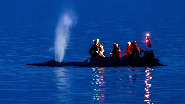 Ostsee: Rettung des Wals am Timmendorfer Strand bisher erfolglos