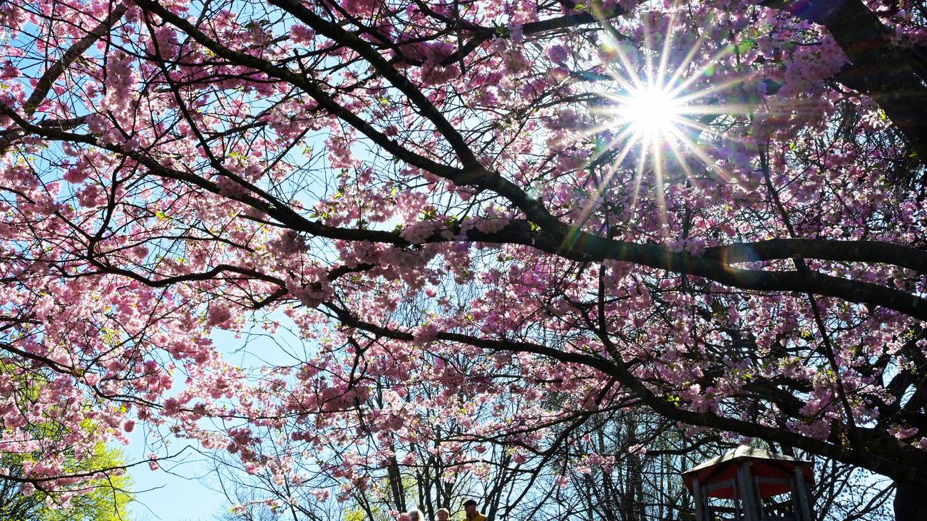 Klimawandel: Zweitwärmster März in Europa seit Beginn der Messungen