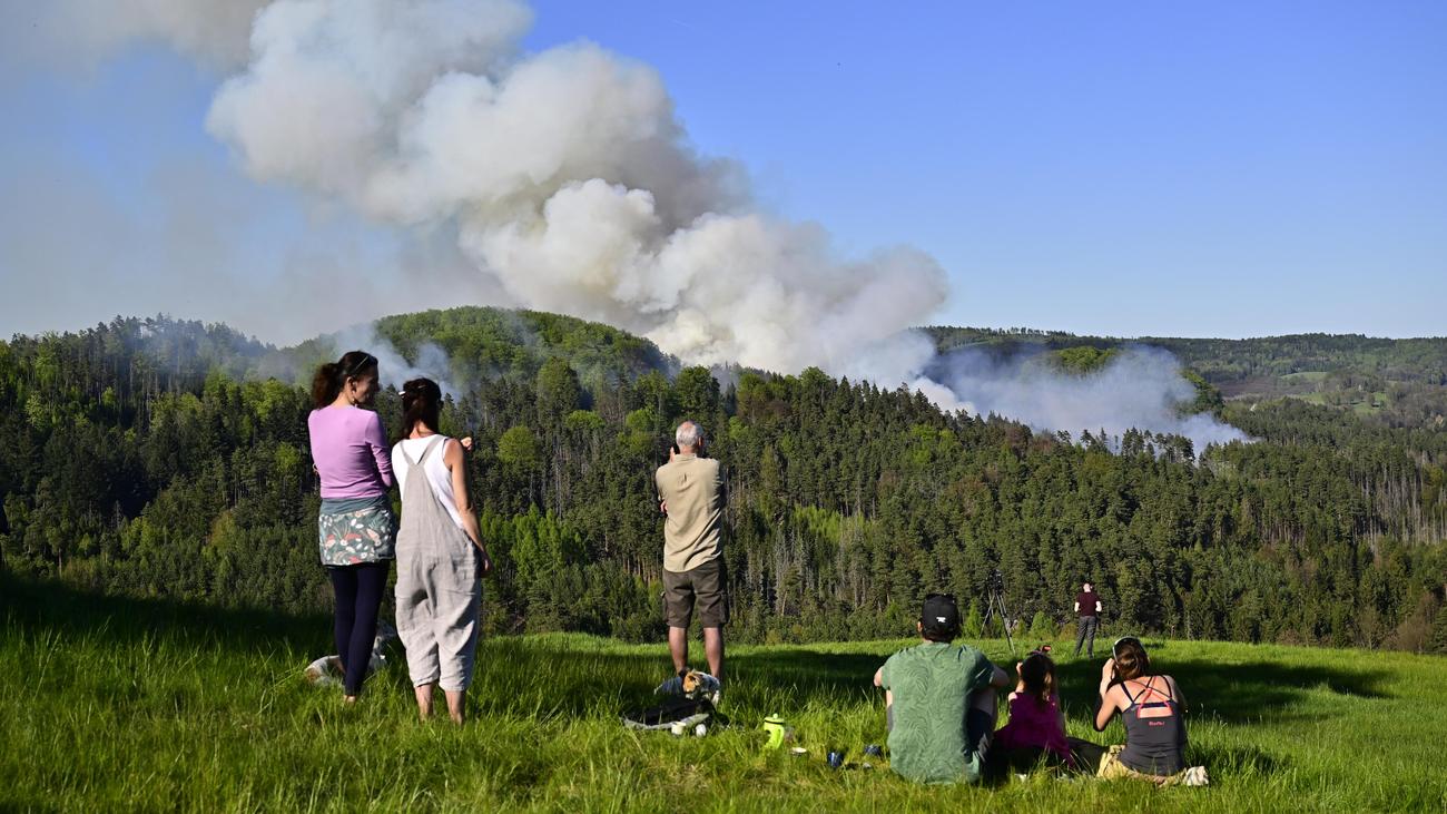 Nationalpark nahe Sachsen : Feuerwehr kämpft gegen Großbrand in Böhmischer Schweiz 