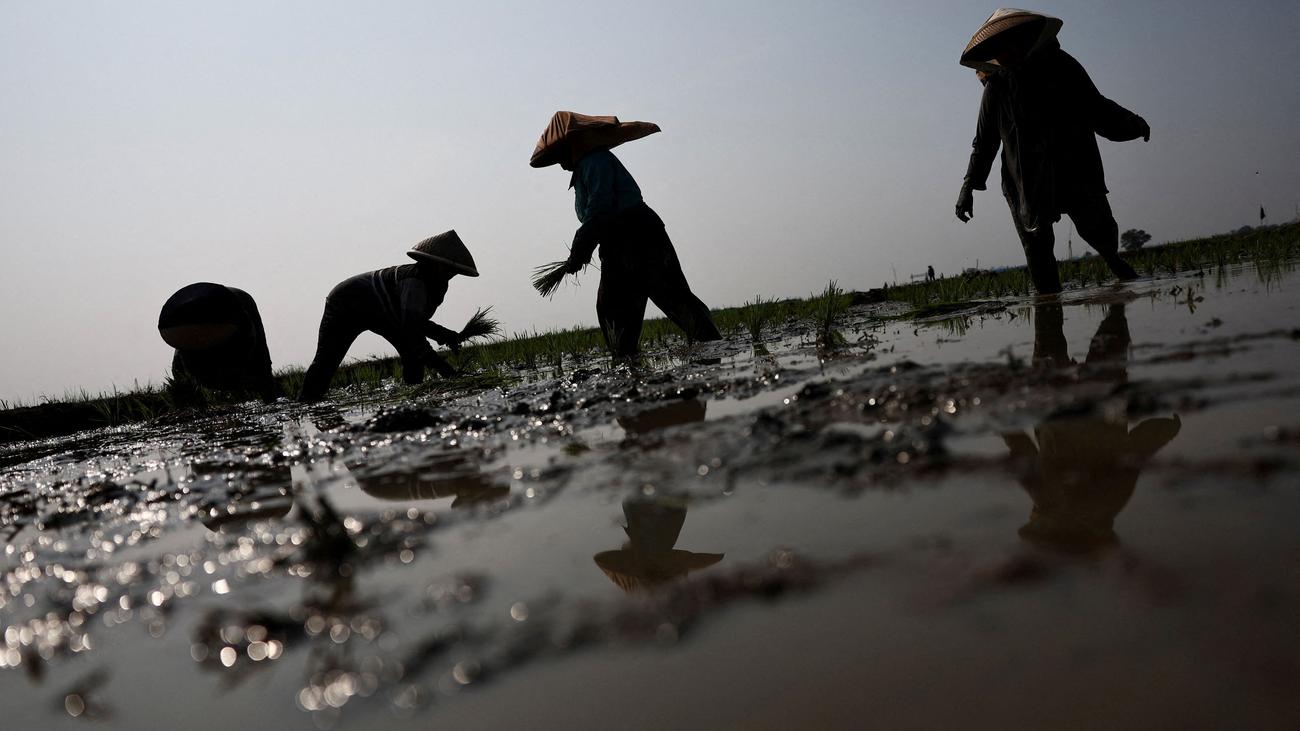 NOAA: El Niño İklim Olayı Çoktan Başladı