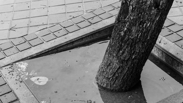 Klimaschutz und Ungleichheit: »Klimaschutz ist vor allem ein