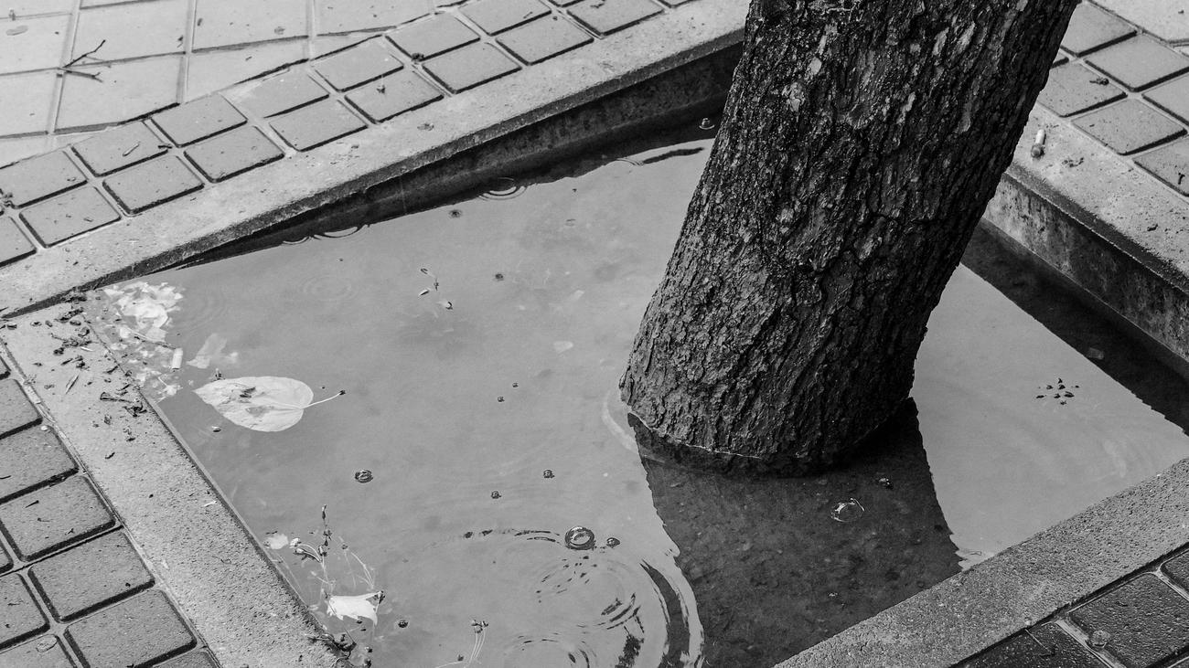 Klimaschutz und Ungleichheit: »Klimaschutz ist vor allem ein Frage der Ungleichheit«