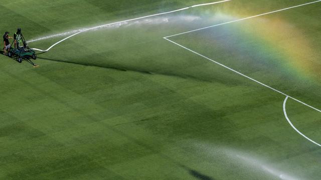 WM-Rasen: »Kein Rasen ist perfekt – jede Art hat ihre Achillesferse«