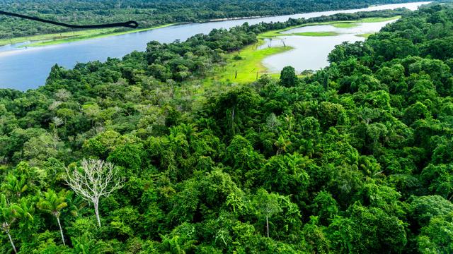 Brasilien: Waldbrände im Amazonasgebiet 2025 auf tiefstem Stand seit Jahrzehnten