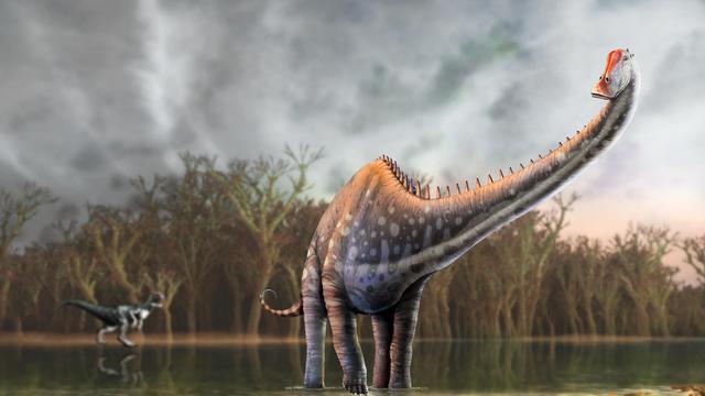Dinosaurier: Diplodocus lebte laut Knochenfunden auch in Europa