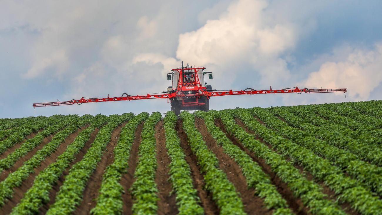 Pesticides in agriculture: Really? Even more pesticides?