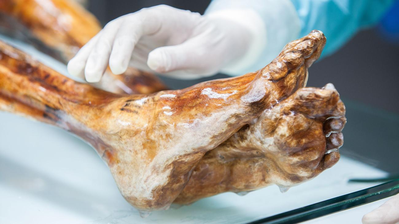 Ötzi Mumyası: Araştırmacılar Canlı Mikroorganizmalar Buldu