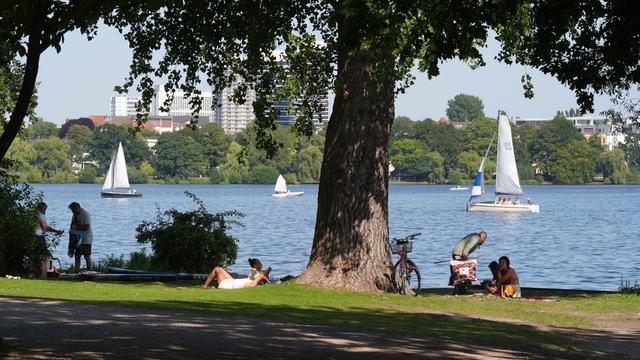 Hitze-Check 2026: Umwelthilfe warnt vor schwindendem Baumsch