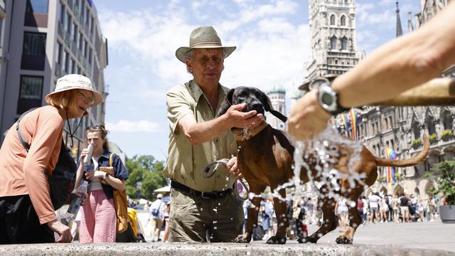Deutscher Wetterdienst: Wetterdienst warnt vor Hitzetagen mit mehr als 40 Grad
