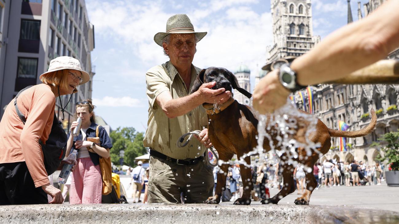 German Weather Service: Weather service warns of hot days with ...