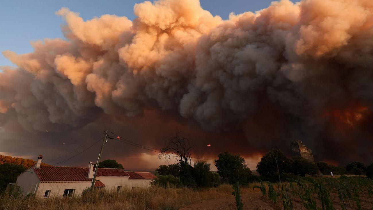 Département Var: Waldbrand in Südfrankreich zwingt Hunderte zur Flucht