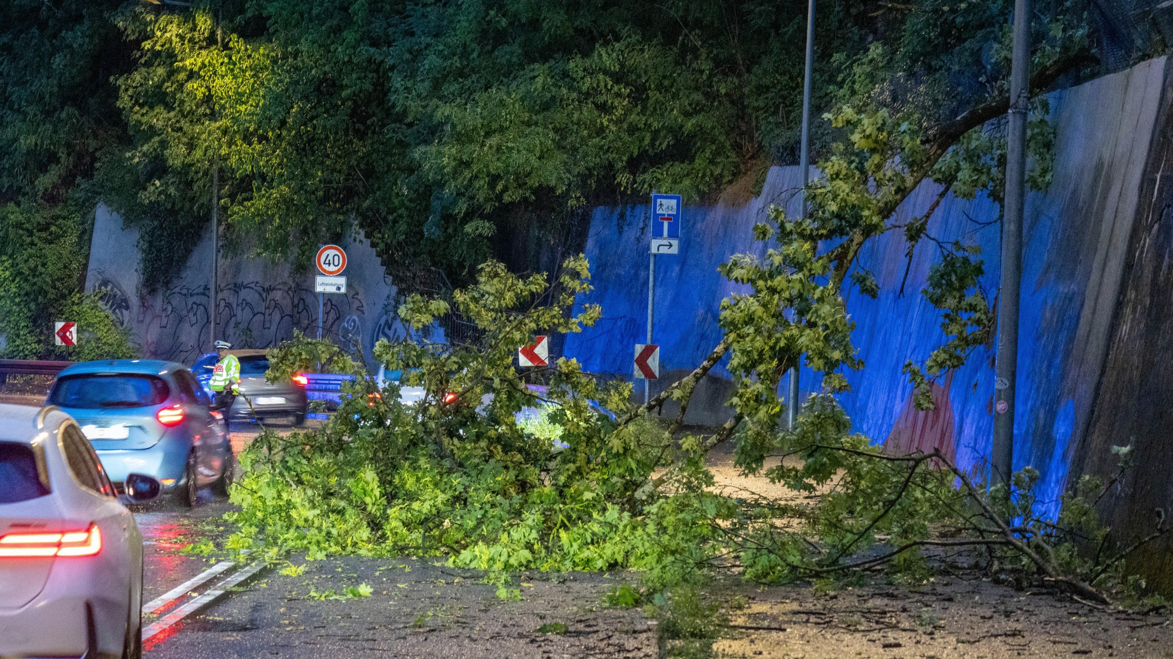Extremwetter: Bei den Unwettern stürzten auch in Stuttgart Bäume um.