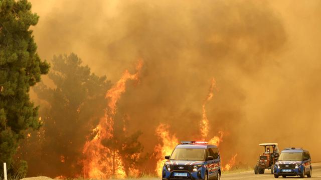 Waldbrände in Antalya: Waldbrände in der Türkei erreichen Wohngebiet in Antalya