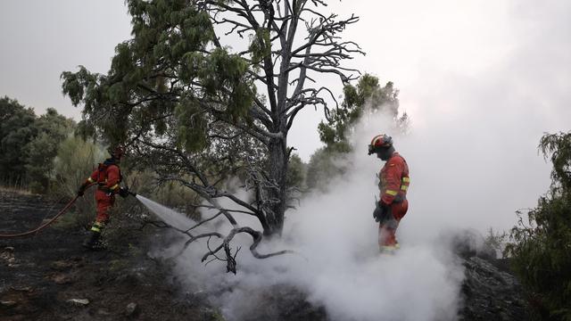 Waldbrände in Südeuropa: »So etwas haben wir noch nie erlebt«