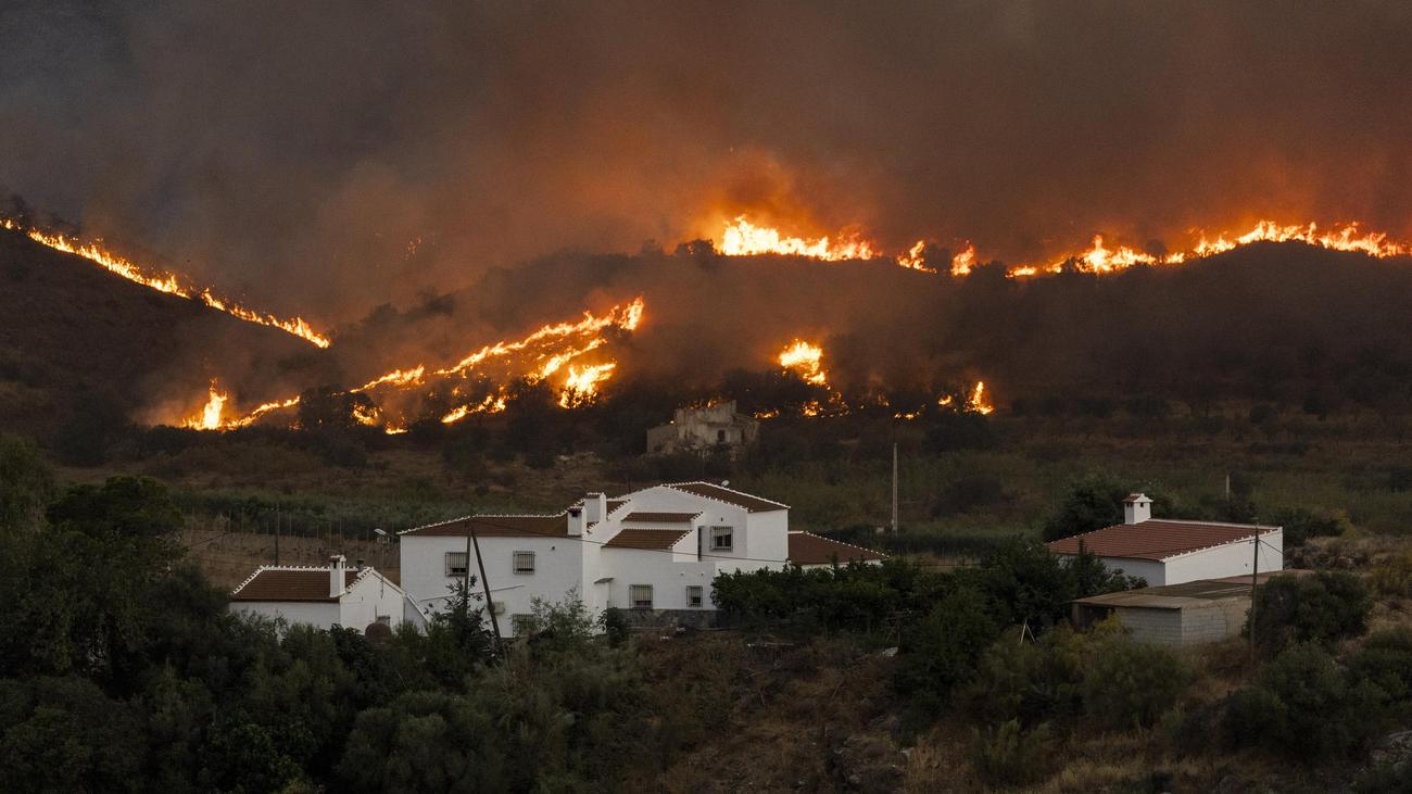 Waldbrand in Almería: Feuerwehr bringt Waldbrand in Andalusien weitgehend unter Kontrolle
