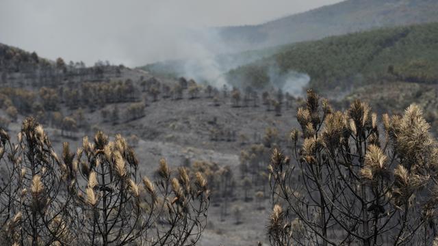 Spanien: Waldbrand nördlich von Madrid zerstört mehr als 13.000 Hektar