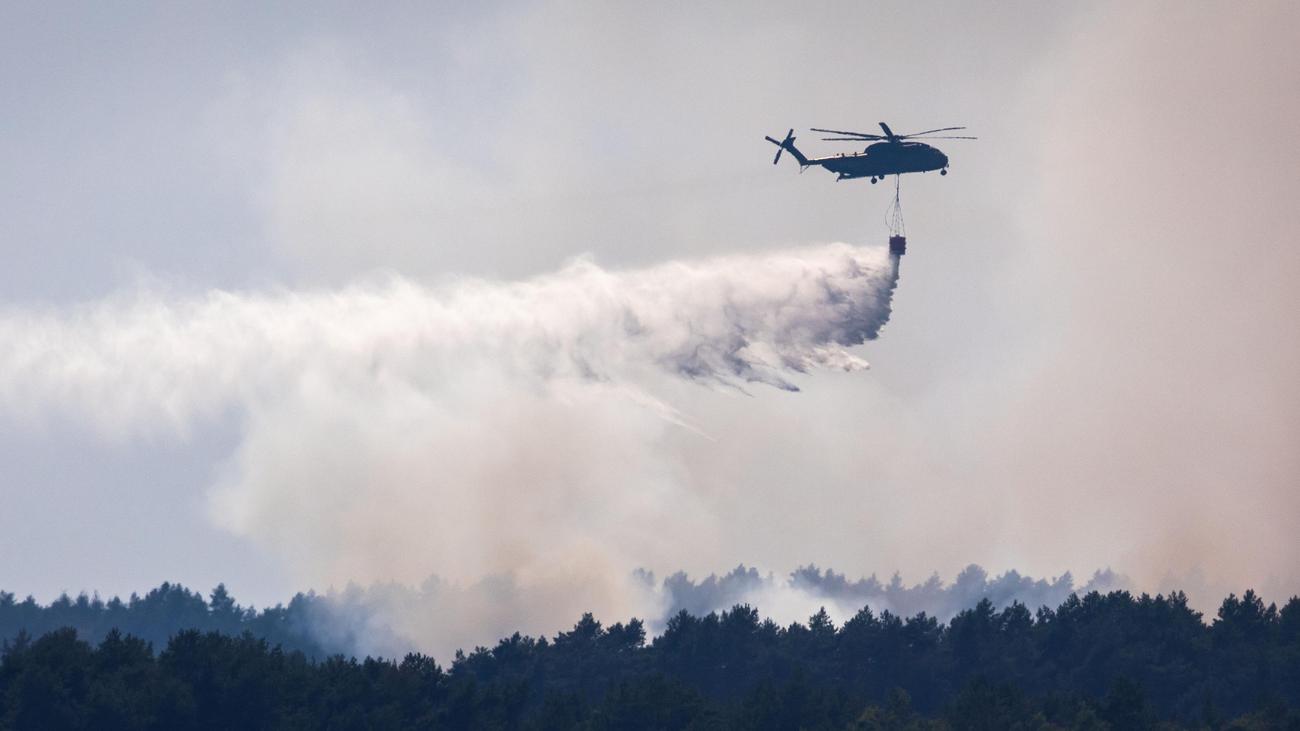 Waldbrand im Müritz-Nationalpark: Weiter keine Entwarnung bei Waldbrand im Müritz-Nationalpark