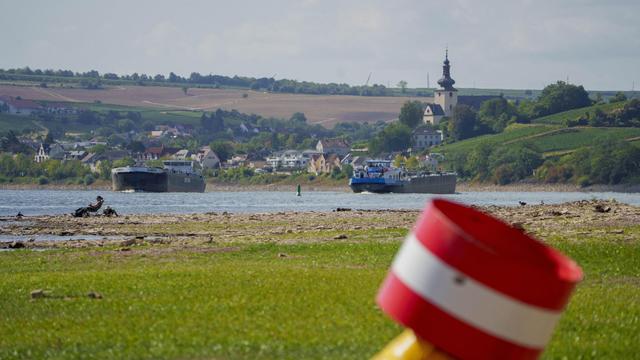 Hitzesommer in Deutschland: Hitzesommer verursacht laut Greenpeace 36 Milliarden Euro Schäden